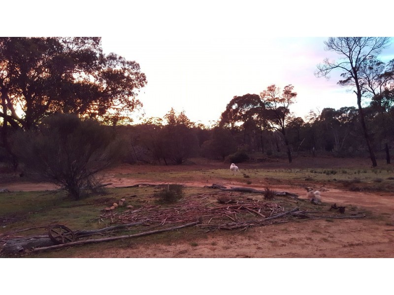 Lot 1 168 Birdswing Road, Halls Gap VIC 3381