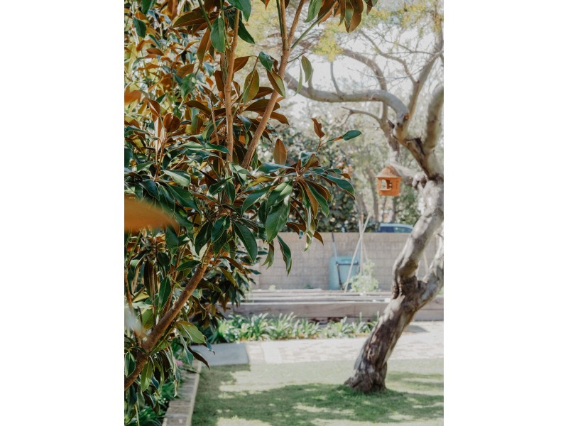 65B Mangles Street, South Bunbury WA 6230