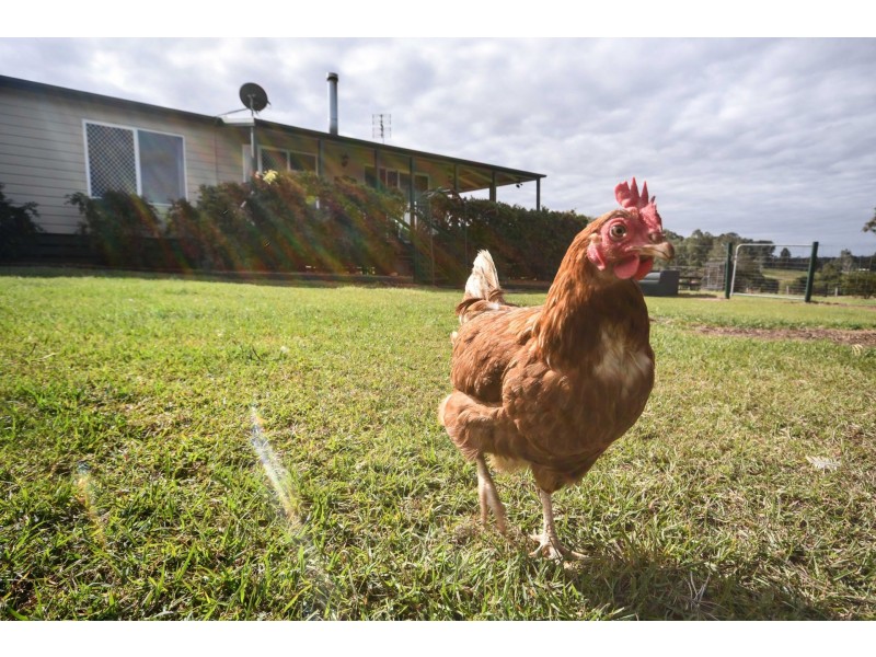 Eatonsville NSW 2460