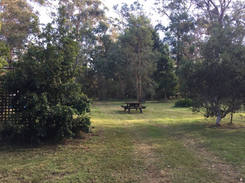 Reedy Swamp NSW 2550