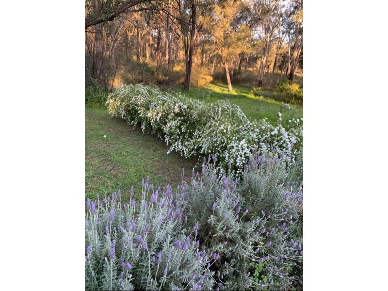 21 Clyde Street, Vineyard NSW 2765