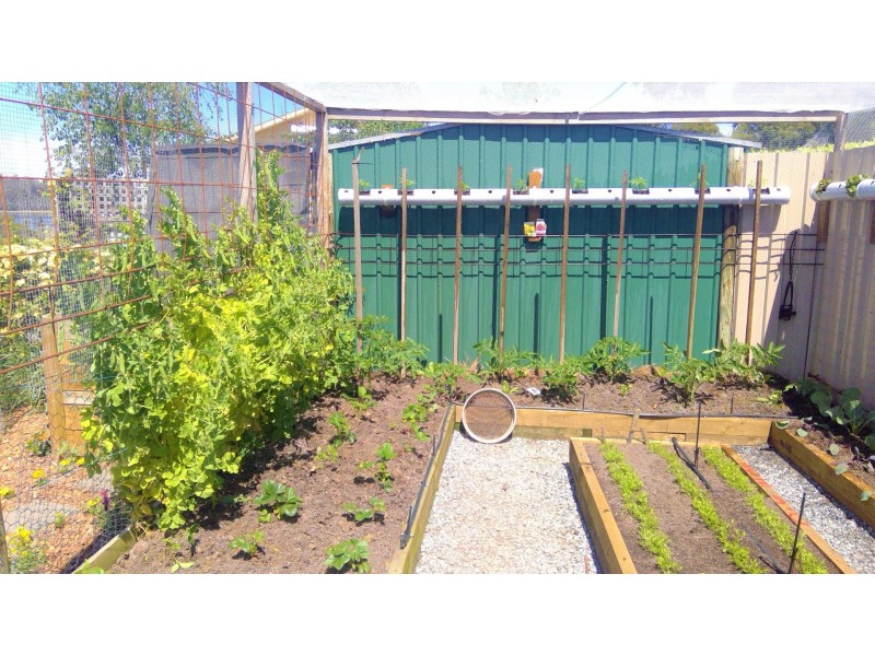 183 Gravelly Beach Road, Blackwall TAS 7275