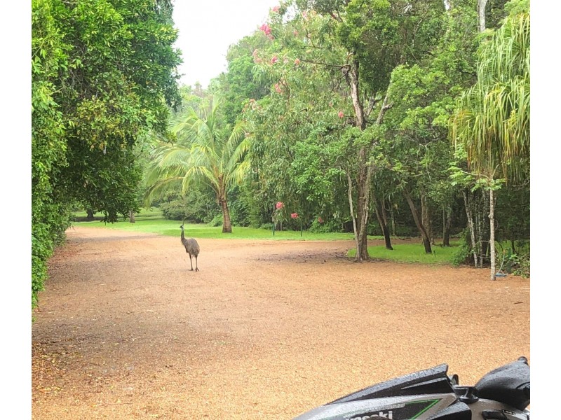 830 Fingerfield Road, Deepwater QLD 4674