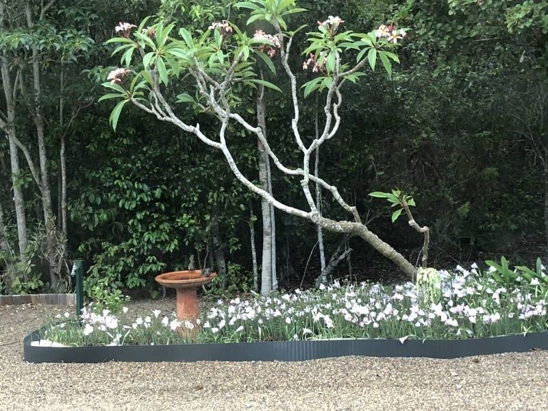 830 Fingerfield Road, Deepwater QLD 4674