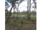 138 Olsen Rd, Lovedale NSW 2325