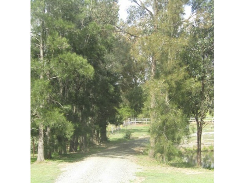 138 Olsen Rd, Lovedale NSW 2325