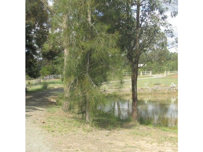 138 Olsen Rd, Lovedale NSW 2325