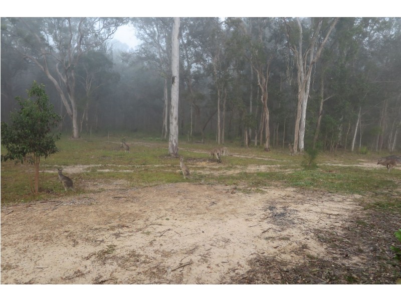 2410 bungawalbin whiporie road, Gibberagee NSW 2469