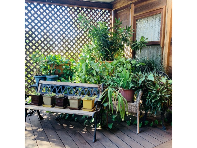 1052 Rubyvale Road, Sapphire QLD 4702