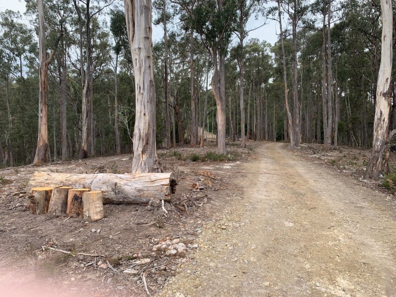 200 Skyfarm Road, Deep Bay TAS 7112