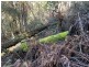 200 Skyfarm Road, Deep Bay TAS 7112