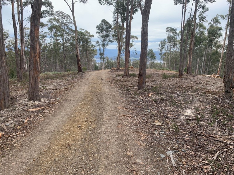 200 Skyfarm Road, Deep Bay TAS 7112