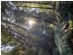 200 Skyfarm Road, Deep Bay TAS 7112