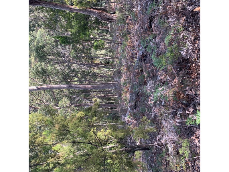200 Skyfarm Road, Deep Bay TAS 7112