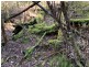 200 Skyfarm Road, Deep Bay TAS 7112