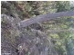 200 Skyfarm Road, Deep Bay TAS 7112