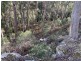 200 Skyfarm Road, Deep Bay TAS 7112