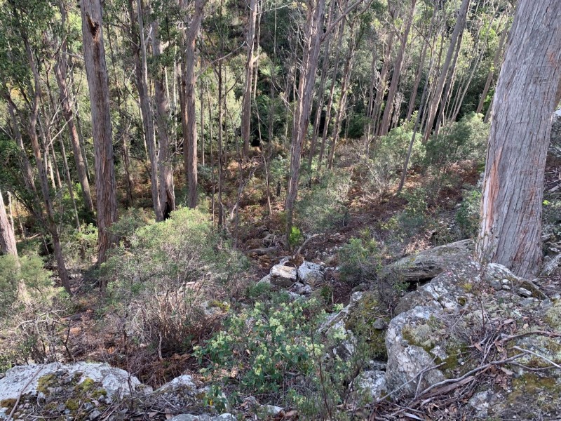 200 Skyfarm Road, Deep Bay TAS 7112