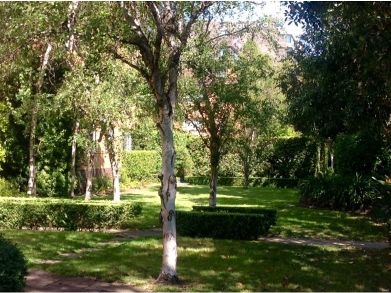 5/58 queens road, Melbourne VIC 3004