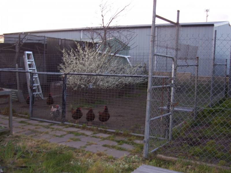 12 Legana Park Drive, Legana TAS 7277