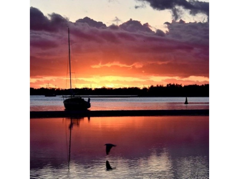 83/17 Bayview Street, Runaway Bay QLD 4216