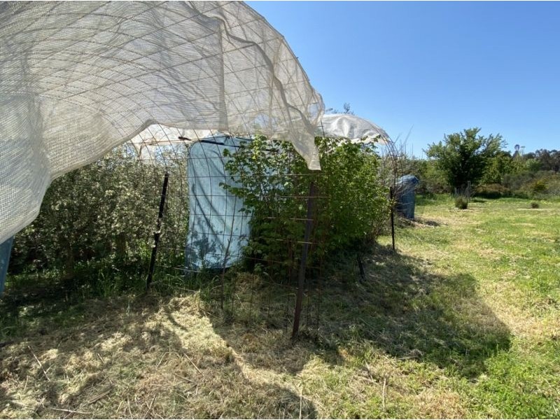 5 Pottery Road, Campbells Creek VIC 3451