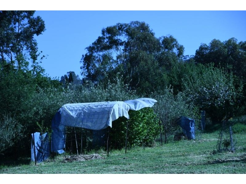 5 Pottery Road, Campbells Creek VIC 3451