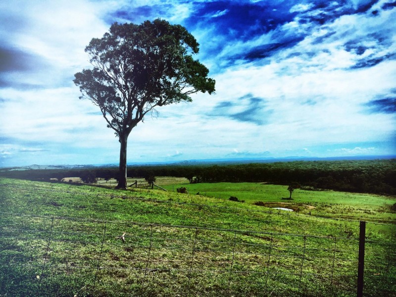 92 Mount Minderoo Lane, High Range NSW 2575