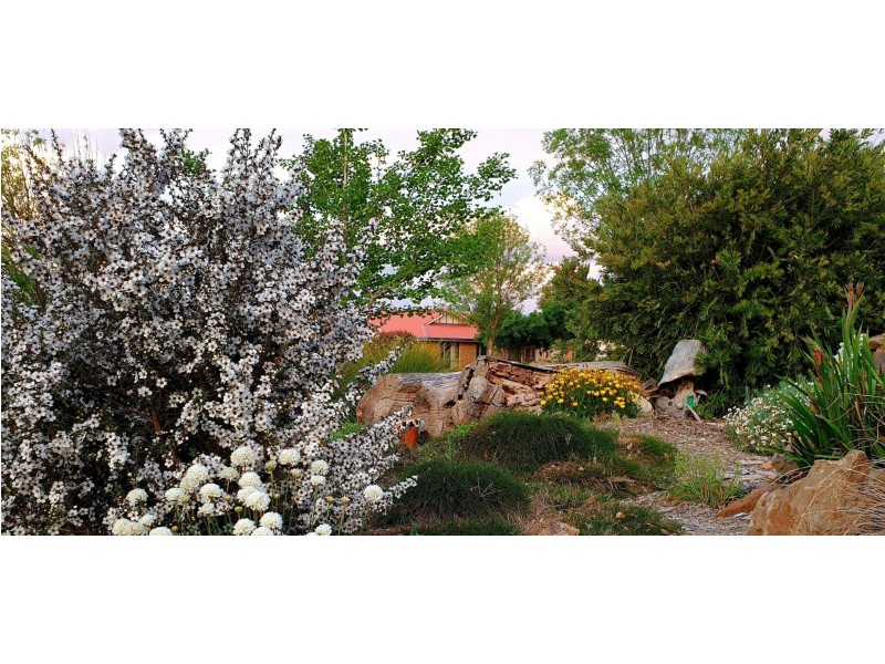 40 Carlyle Avenue, Llanarth NSW 2795