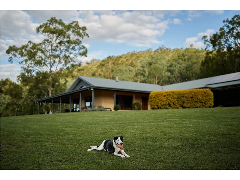 2 Phascogale Cres, Barrington NSW 2422