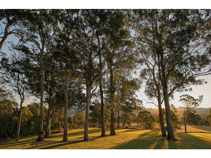 2 Phascogale Cres, Barrington NSW 2422