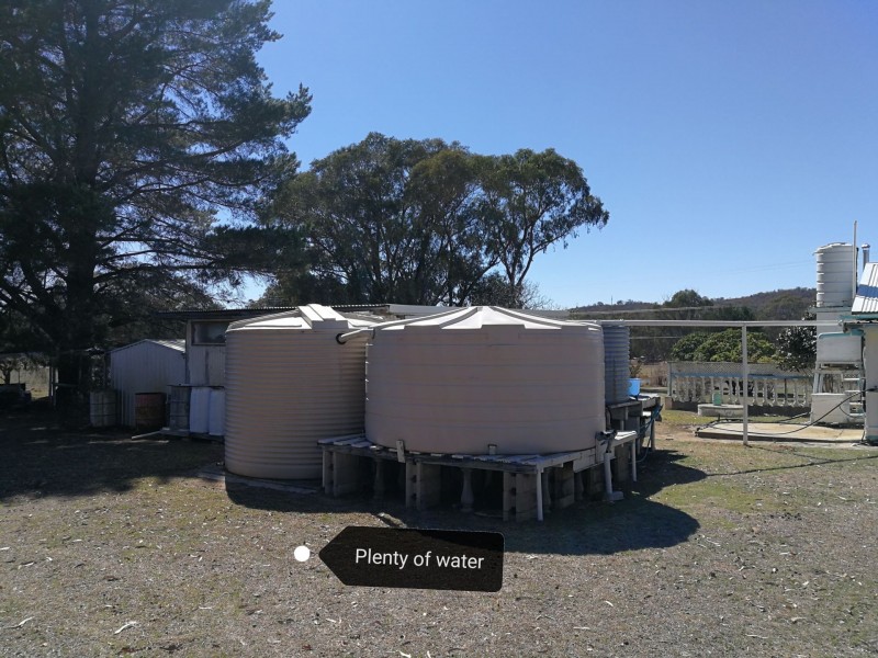 5359 Strathbogie Road, Emmaville NSW 2371