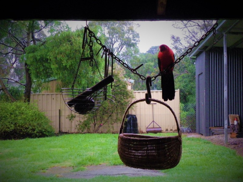 17 North Mountain Rd, Heathcote Junction VIC 3758