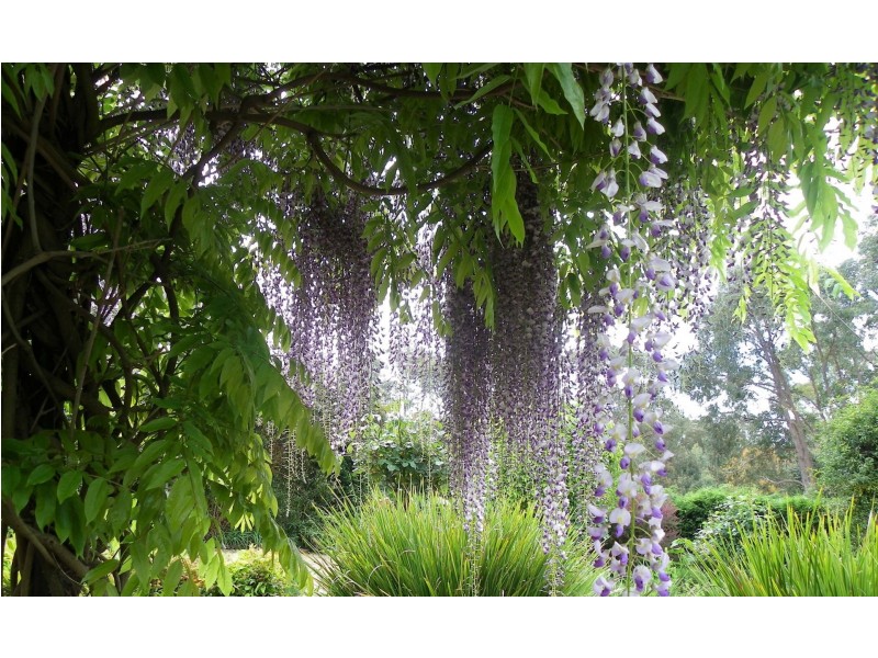 17 North Mountain Rd, Heathcote Junction VIC 3758