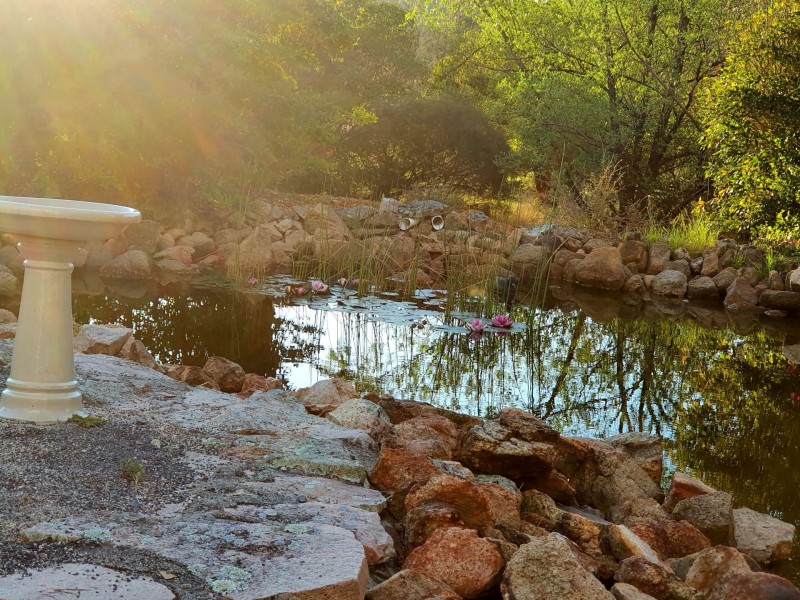 10 Nicol Street, Stanthorpe QLD 4380