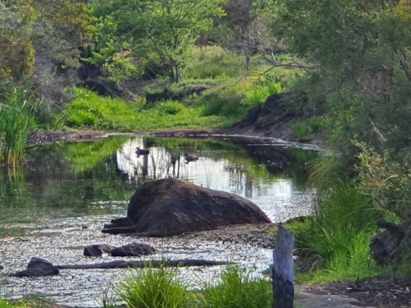 10 Nicol Street, Stanthorpe QLD 4380