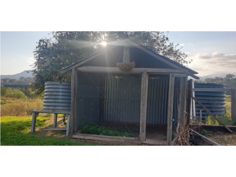 Wingen NSW 2337