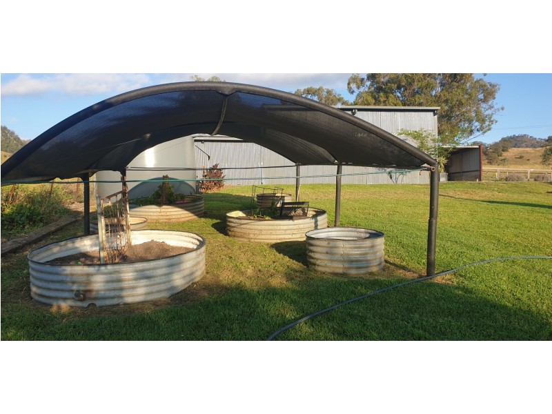 Wingen NSW 2337