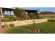 Wingen NSW 2337