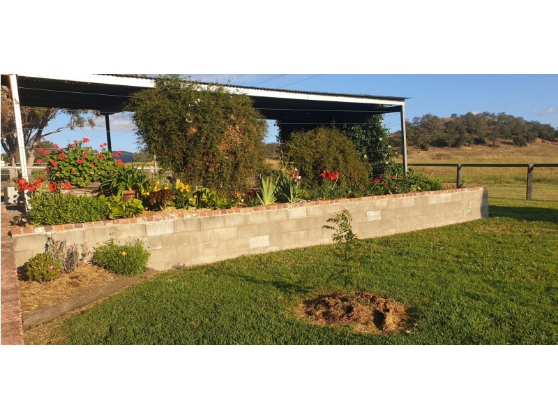 Wingen NSW 2337
