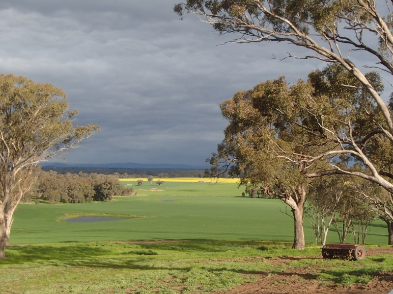 275 Midland Deviation, Cosgrove South VIC 3631