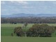 275 Midland Deviation, Cosgrove South VIC 3631