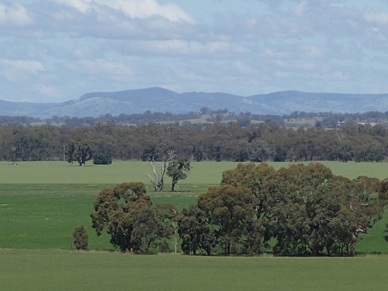 275 Midland Deviation, Cosgrove South VIC 3631