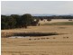 275 Midland Deviation, Cosgrove South VIC 3631