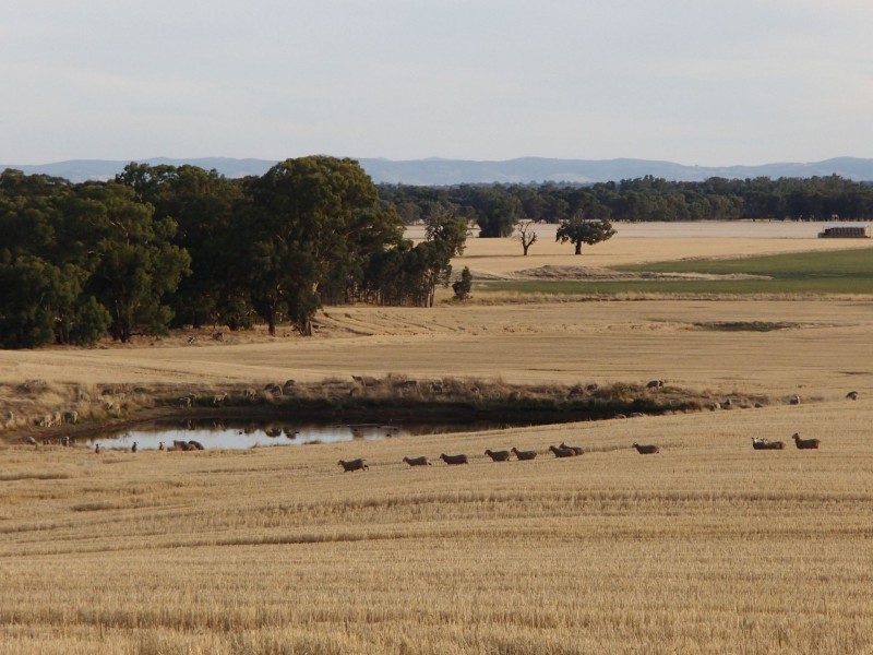 275 Midland Deviation, Cosgrove South VIC 3631