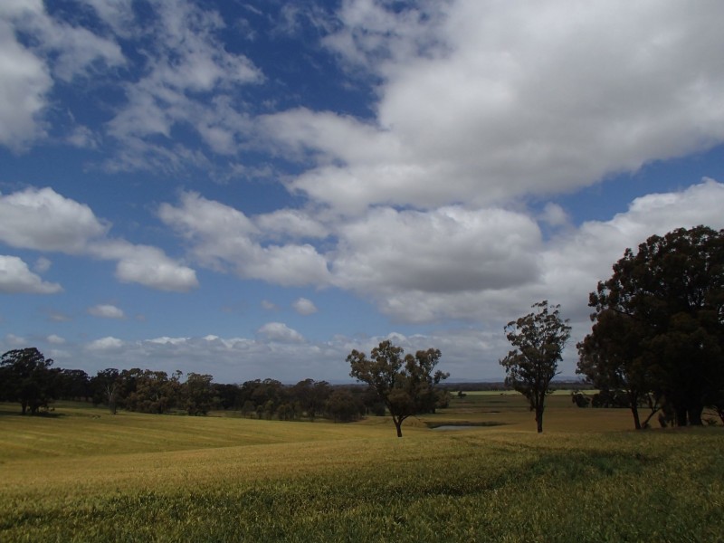 275 Midland Deviation, Cosgrove South VIC 3631