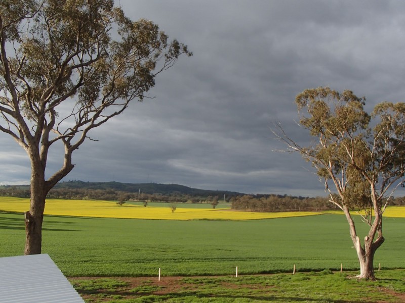 275 Midland Deviation, Cosgrove South VIC 3631