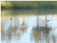 275 Midland Deviation, Cosgrove South VIC 3631