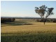 275 Midland Deviation, Cosgrove South VIC 3631