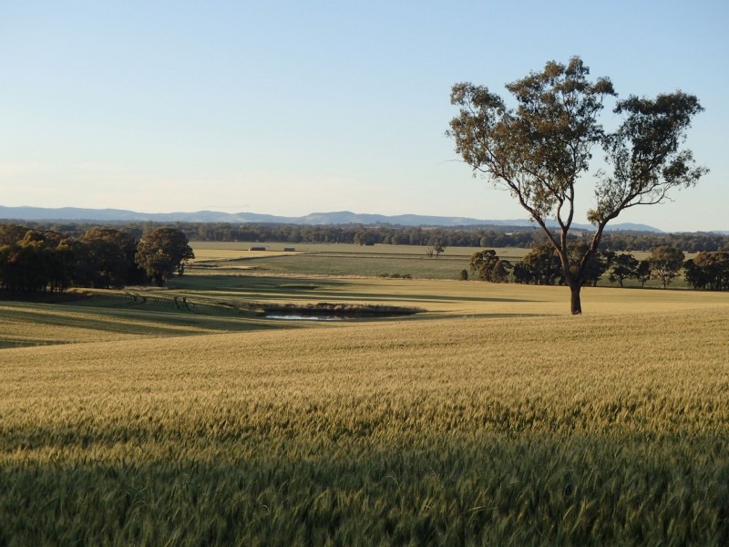 275 Midland Deviation, Cosgrove South VIC 3631